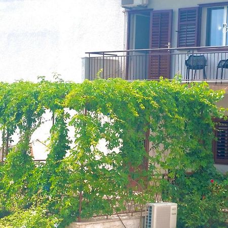 Apartment Fila - Large & Close To The Beach Makarska Dış mekan fotoğraf